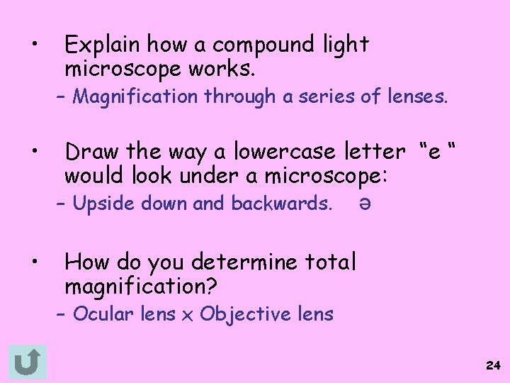  • Explain how a compound light microscope works. – Magnification through a series