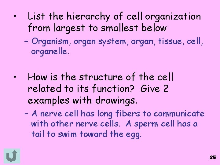  • List the hierarchy of cell organization from largest to smallest below –