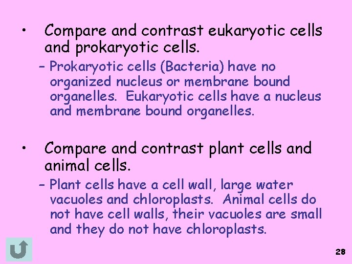  • Compare and contrast eukaryotic cells and prokaryotic cells. – Prokaryotic cells (Bacteria)