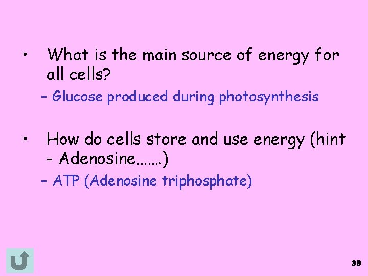  • What is the main source of energy for all cells? – Glucose