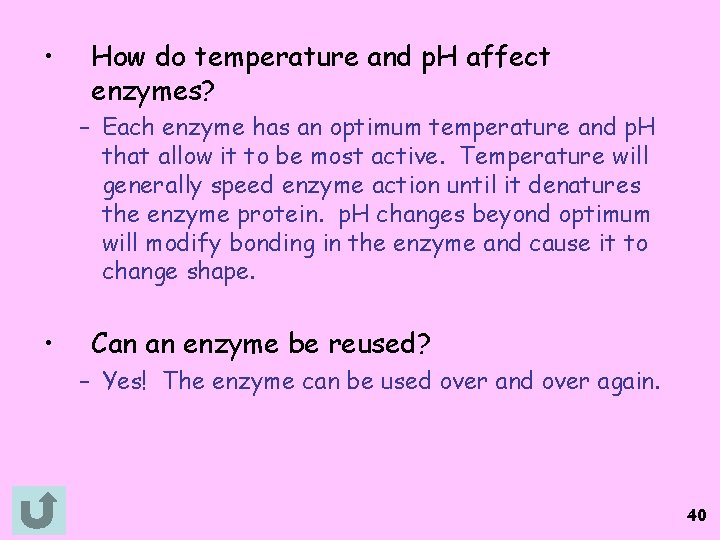  • How do temperature and p. H affect enzymes? – Each enzyme has