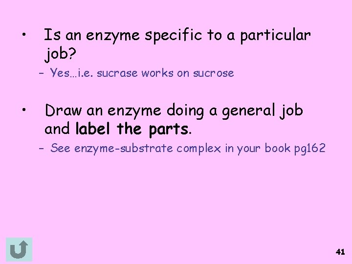  • Is an enzyme specific to a particular job? – Yes…i. e. sucrase