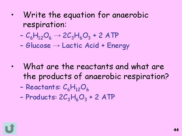  • Write the equation for anaerobic respiration: – C 6 H 12 O