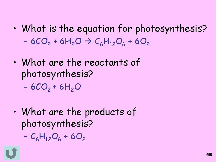  • What is the equation for photosynthesis? – 6 CO 2 + 6