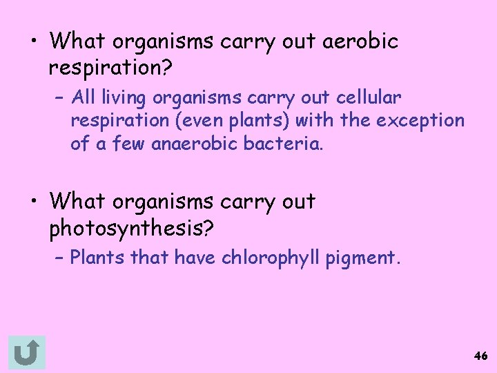  • What organisms carry out aerobic respiration? – All living organisms carry out