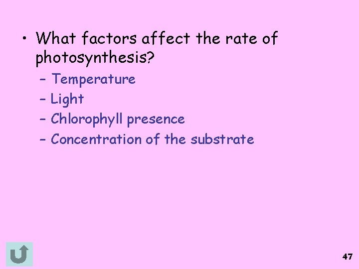  • What factors affect the rate of photosynthesis? – – Temperature Light Chlorophyll