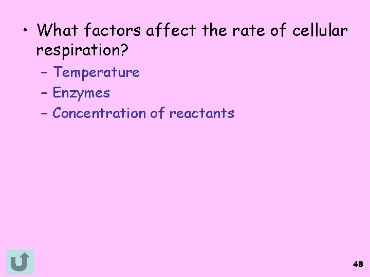  • What factors affect the rate of cellular respiration? – Temperature – Enzymes