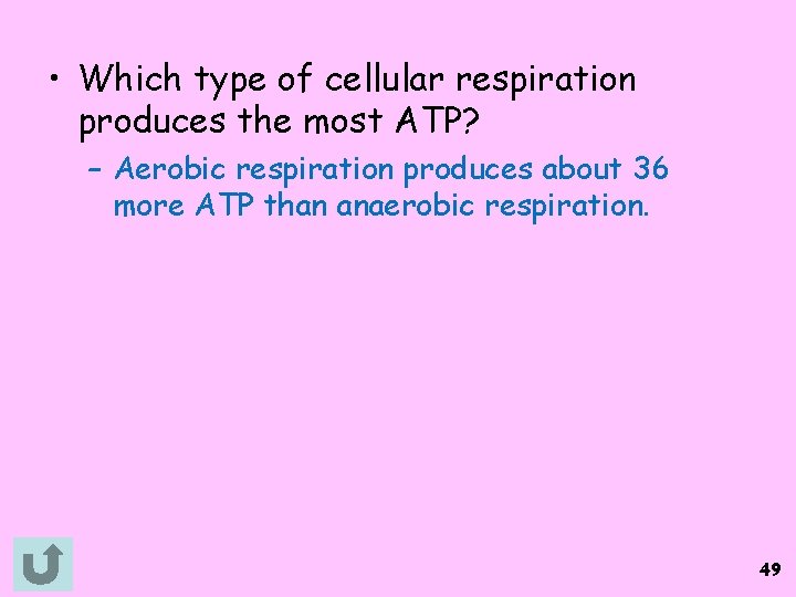  • Which type of cellular respiration produces the most ATP? – Aerobic respiration