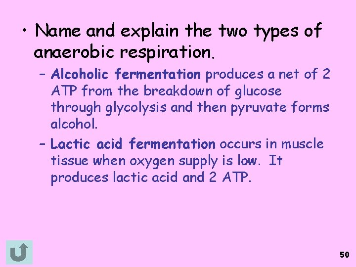  • Name and explain the two types of anaerobic respiration. – Alcoholic fermentation