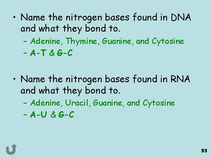  • Name the nitrogen bases found in DNA and what they bond to.