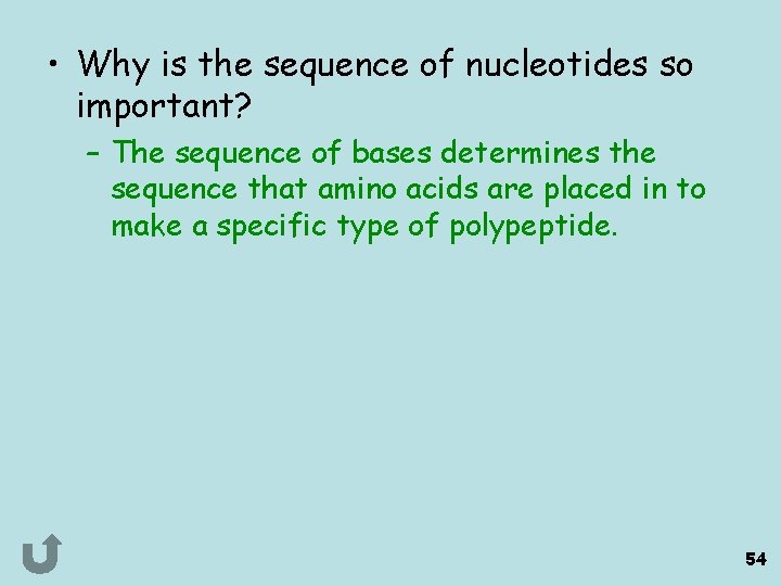  • Why is the sequence of nucleotides so important? – The sequence of