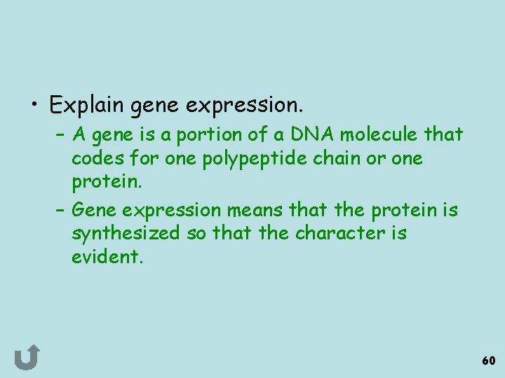  • Explain gene expression. – A gene is a portion of a DNA