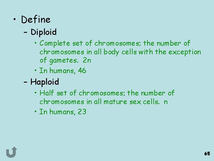  • Define – Diploid • Complete set of chromosomes; the number of chromosomes