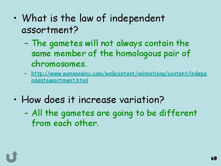  • What is the law of independent assortment? – The gametes will not