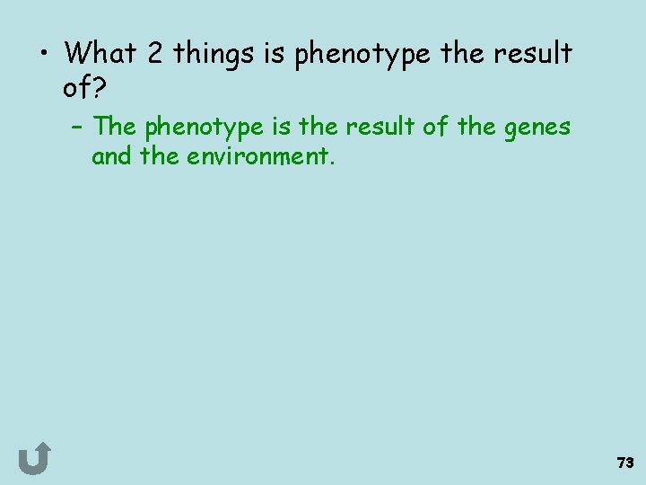  • What 2 things is phenotype the result of? – The phenotype is