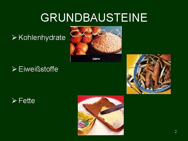 GRUNDBAUSTEINE Ø Kohlenhydrate Ø Eiweißstoffe Ø Fette 2 