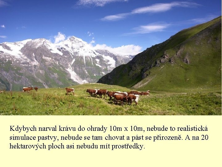 Kdybych narval krávu do ohrady 10 m x 10 m, nebude to realistická simulace