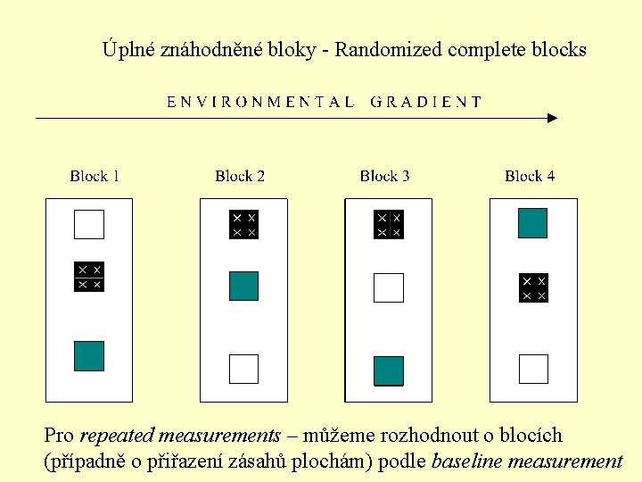 Úplné znáhodněné bloky - Randomized complete blocks Pro repeated measurements – můžeme rozhodnout o