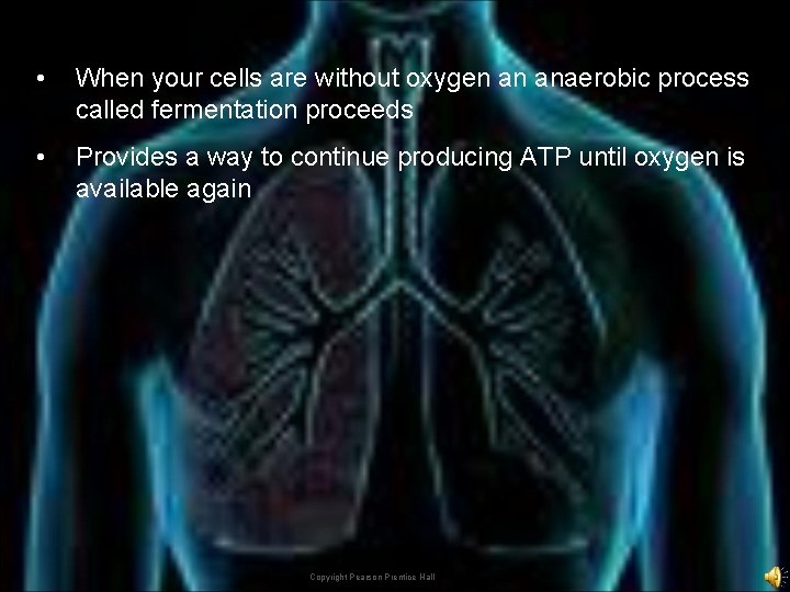  • When your cells are without oxygen an anaerobic process called fermentation proceeds
