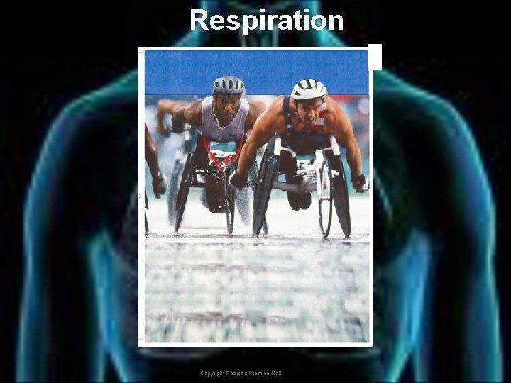 Respiration Copyright Pearson Prentice Hall 
