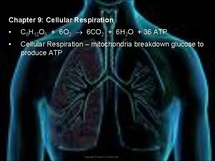 Chapter 9: Cellular Respiration • C 6 H 12 O 6 + 6 O