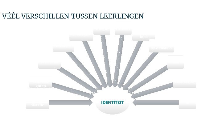 VÉÉL VERSCHILLEN TUSSEN LEERLINGEN Religie Relaties Evaringen Fysieke gesteldheid Karakter Interesse SES Etnischculturele groep