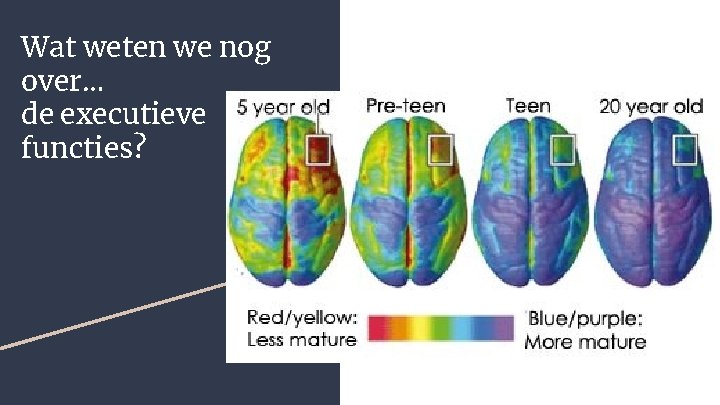 Wat weten we nog over… de executieve functies? 