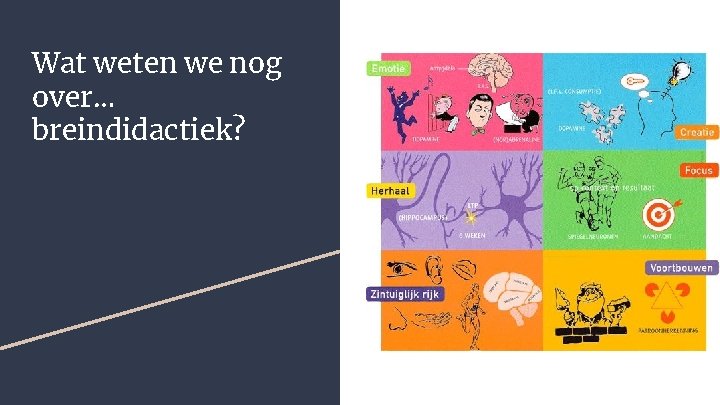 Wat weten we nog over… breindidactiek? 