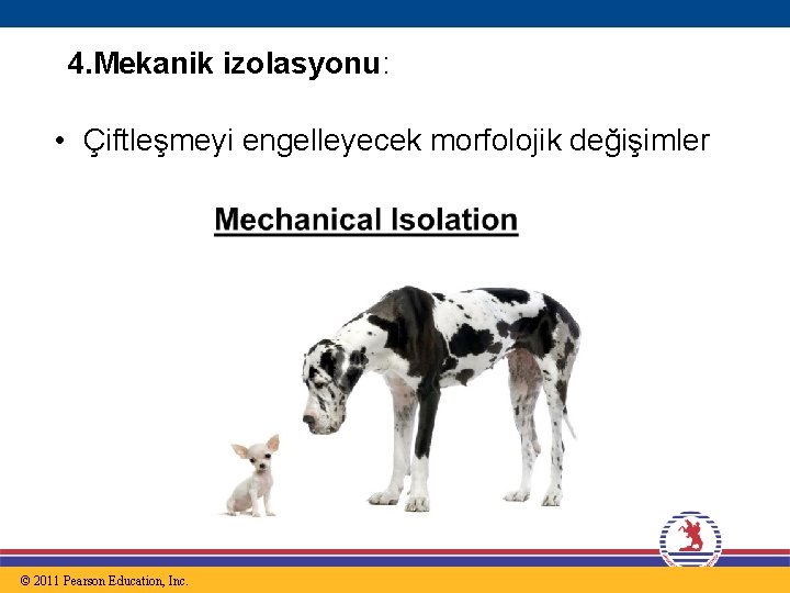 4. Mekanik izolasyonu: • Çiftleşmeyi engelleyecek morfolojik değişimler © 2011 Pearson Education, Inc. 