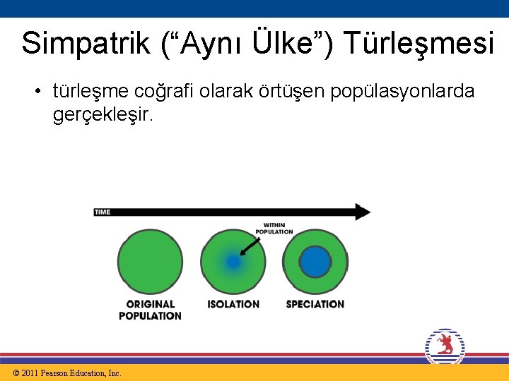 Simpatrik (“Aynı Ülke”) Türleşmesi • türleşme coğrafi olarak örtüşen popülasyonlarda gerçekleşir. © 2011 Pearson