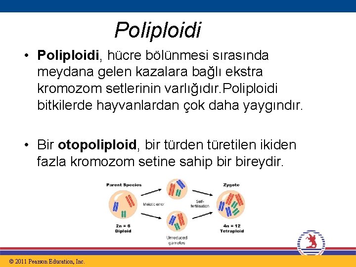 Poliploidi • Poliploidi, hücre bölünmesi sırasında meydana gelen kazalara bağlı ekstra kromozom setlerinin varlığıdır.