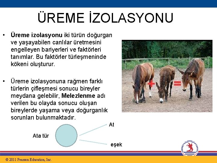 ÜREME İZOLASYONU • Üreme izolasyonu iki türün doğurgan ve yaşayabilen canlılar üretmesini engelleyen bariyerleri