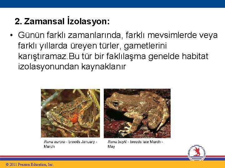 2. Zamansal İzolasyon: • Günün farklı zamanlarında, farklı mevsimlerde veya farklı yıllarda üreyen türler,