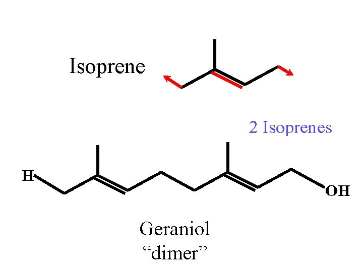Isoprene 2 Isoprenes H OH Geraniol “dimer” 
