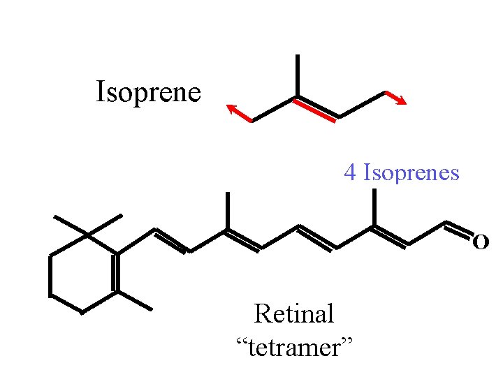 Isoprene 4 Isoprenes O Retinal “tetramer” 