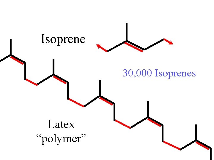 Isoprene 30, 000 Isoprenes Latex “polymer” 
