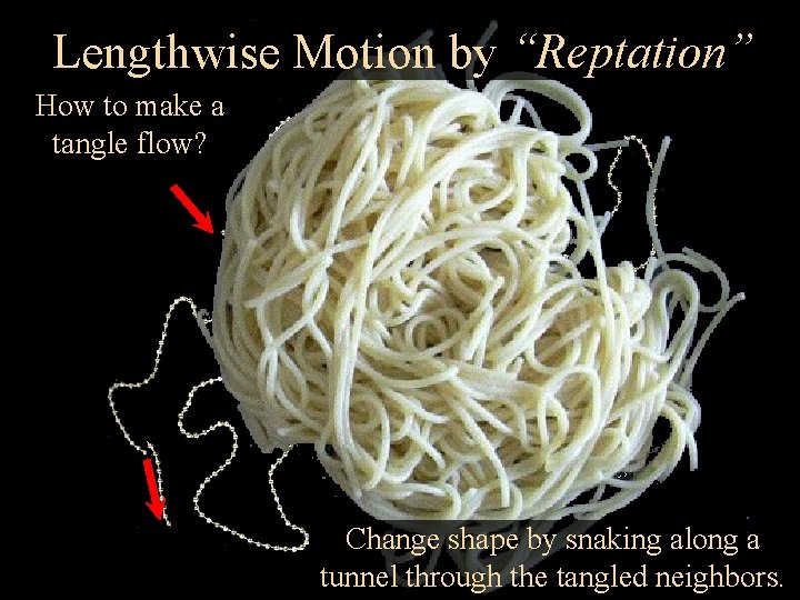 Lengthwise Motion by “Reptation” How to make a tangle flow? Change shape by snaking