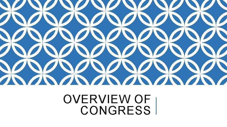 OVERVIEW OF CONGRESS 