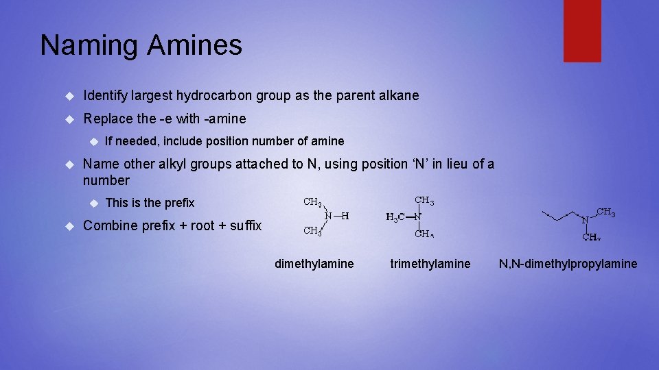 Naming Amines Identify largest hydrocarbon group as the parent alkane Replace the -e with