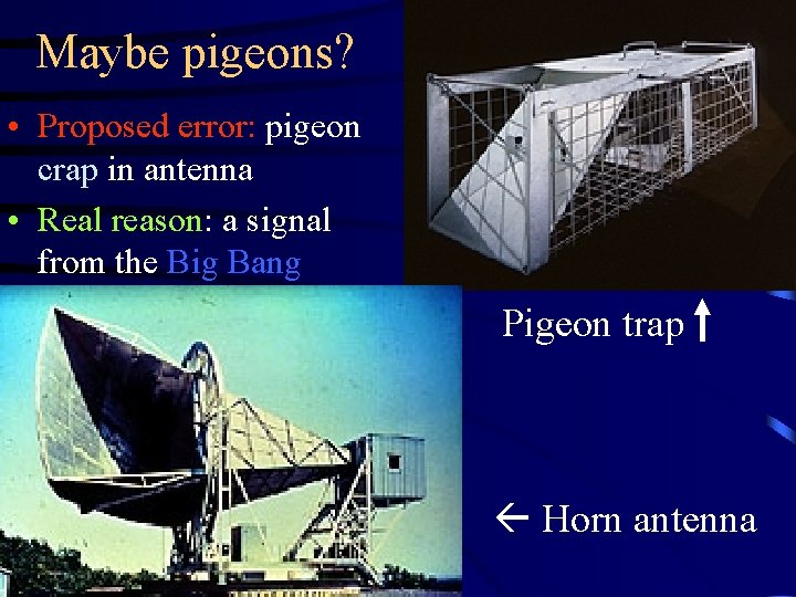 Maybe pigeons? • Proposed error: pigeon crap in antenna • Real reason: a signal