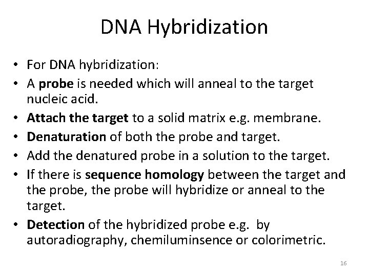 DNA Hybridization • For DNA hybridization: • A probe is needed which will anneal