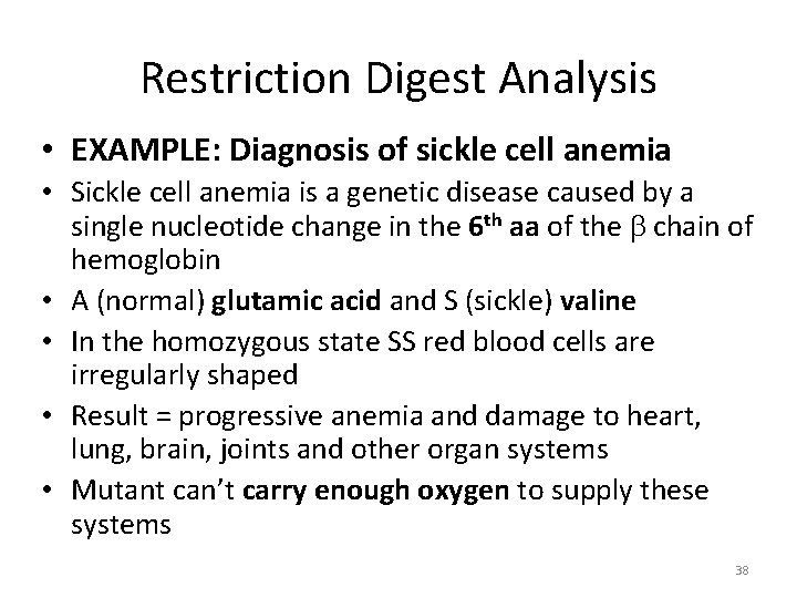 Restriction Digest Analysis • EXAMPLE: Diagnosis of sickle cell anemia • Sickle cell anemia