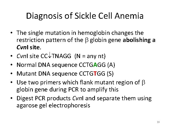 Diagnosis of Sickle Cell Anemia • The single mutation in hemoglobin changes the restriction