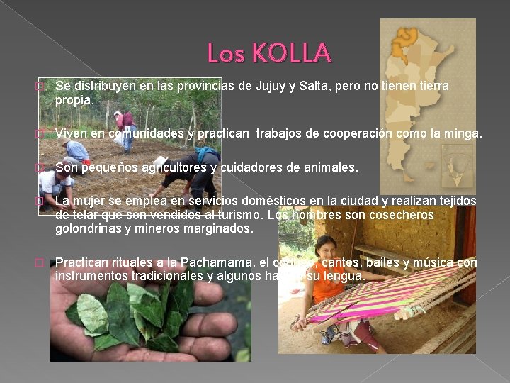 Los KOLLA � Se distribuyen en las provincias de Jujuy y Salta, pero no