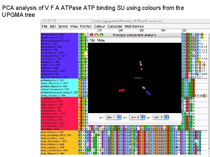 PCA analysis of V F A ATPase ATP binding SU using colours from the