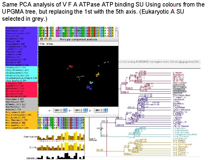 Same PCA analysis of V F A ATPase ATP binding SU Using colours from