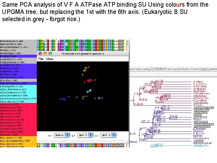 Same PCA analysis of V F A ATPase ATP binding SU Using colours from