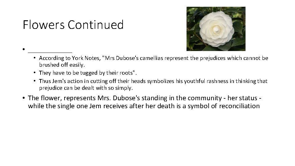 What Do Mrs Dubose's Flowers Symbolize at Carl Nakamura blog