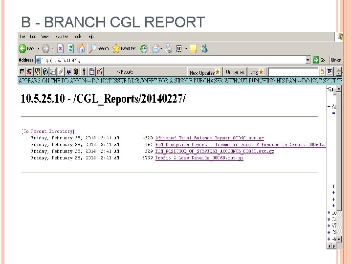 B - BRANCH CGL REPORT 