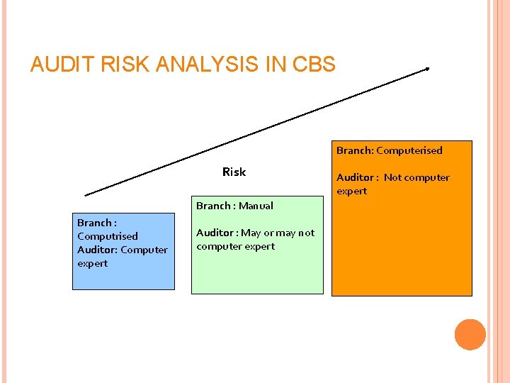 AUDIT RISK ANALYSIS IN CBS Branch: Computerised Risk Branch : Manual Branch : Computrised